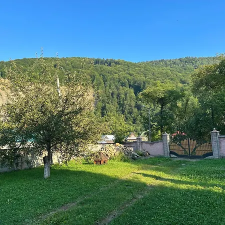 гайналі 야렘체